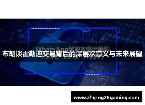 布朗谈霍勒迪交易背后的深层次意义与未来展望