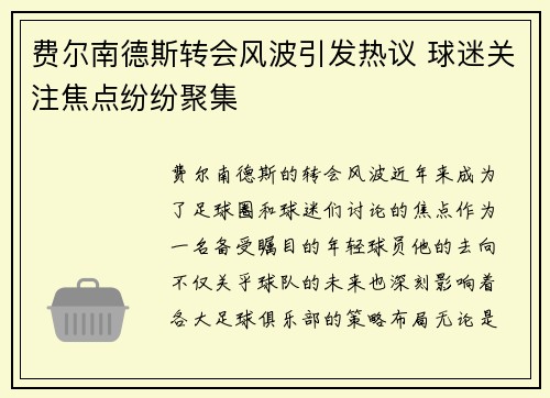 费尔南德斯转会风波引发热议 球迷关注焦点纷纷聚集